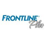 front line