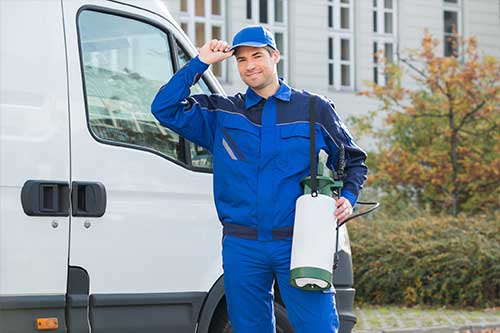Pest Control Company — Pest Control Worker in Grapevine, TX Pest Control Company — Pest Control Worker in Grapevine, TX