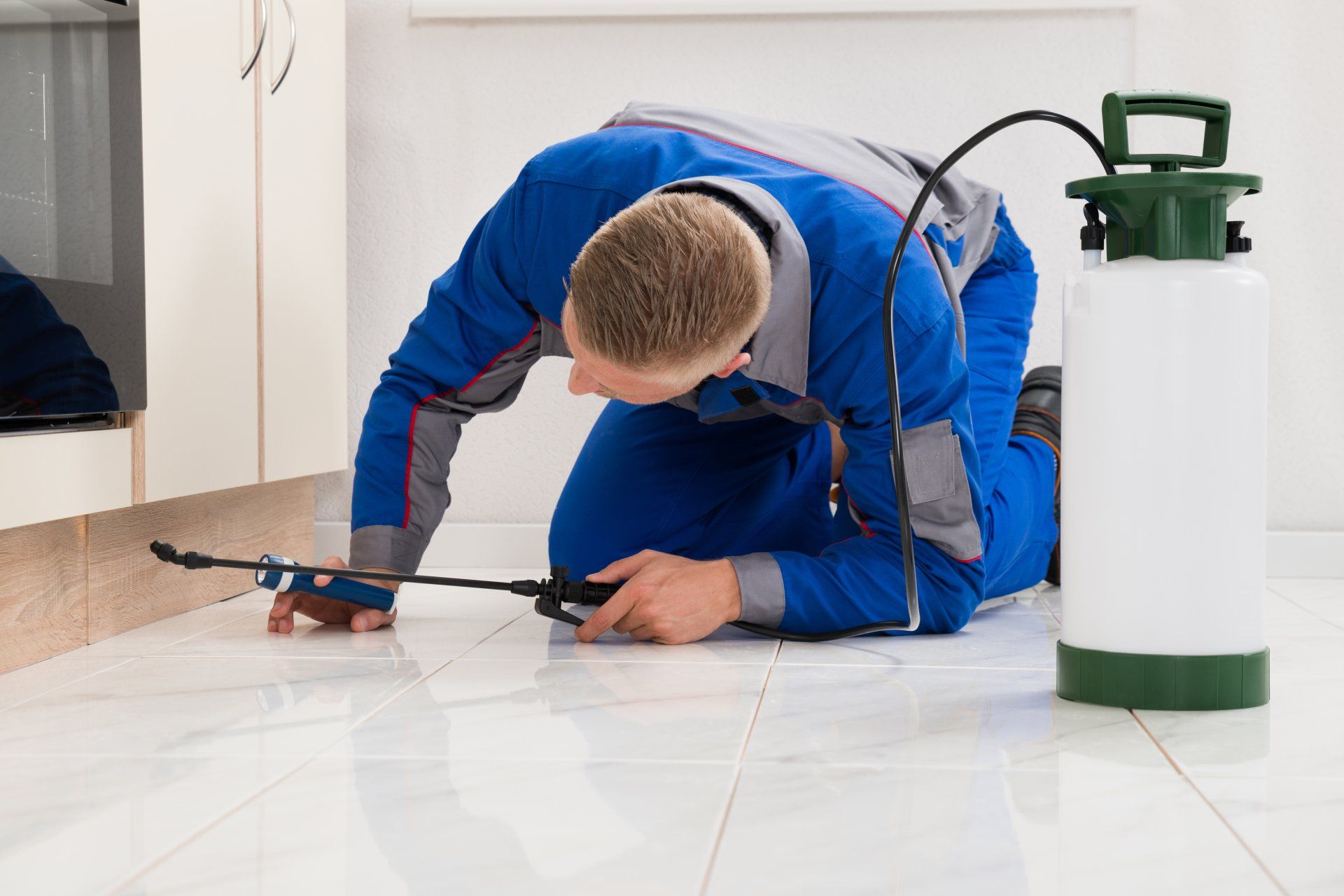 Pest Solutions — Man Spraying Pesticides in Grapevine, TX
