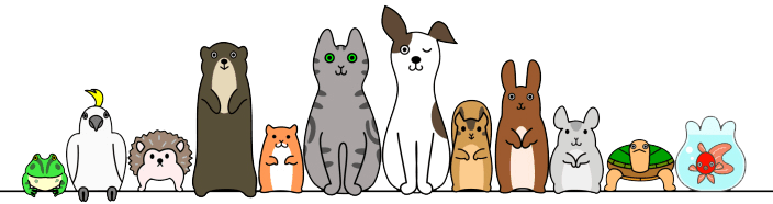 Weekly Specials — Whiteway Pet Shop in Elizabeth, NJ Weekly Specials — Whiteway Pet Shop in Elizabeth, NJ