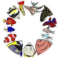 Tropical or marine fish — Whiteway Pet Shop in Elizabeth, NJ Tropical or marine fish — Whiteway Pet Shop in Elizabeth, NJ