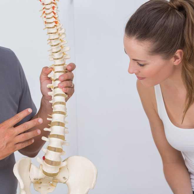 Chiropractic Education