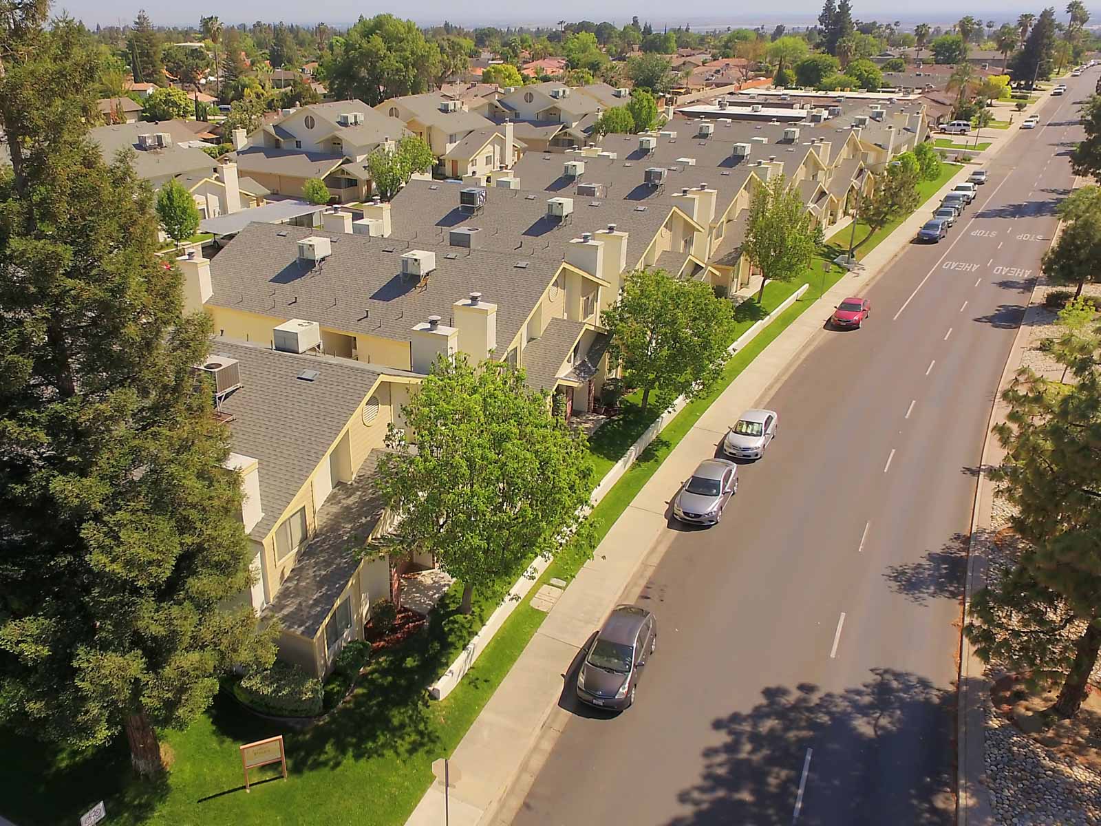 panorama pines