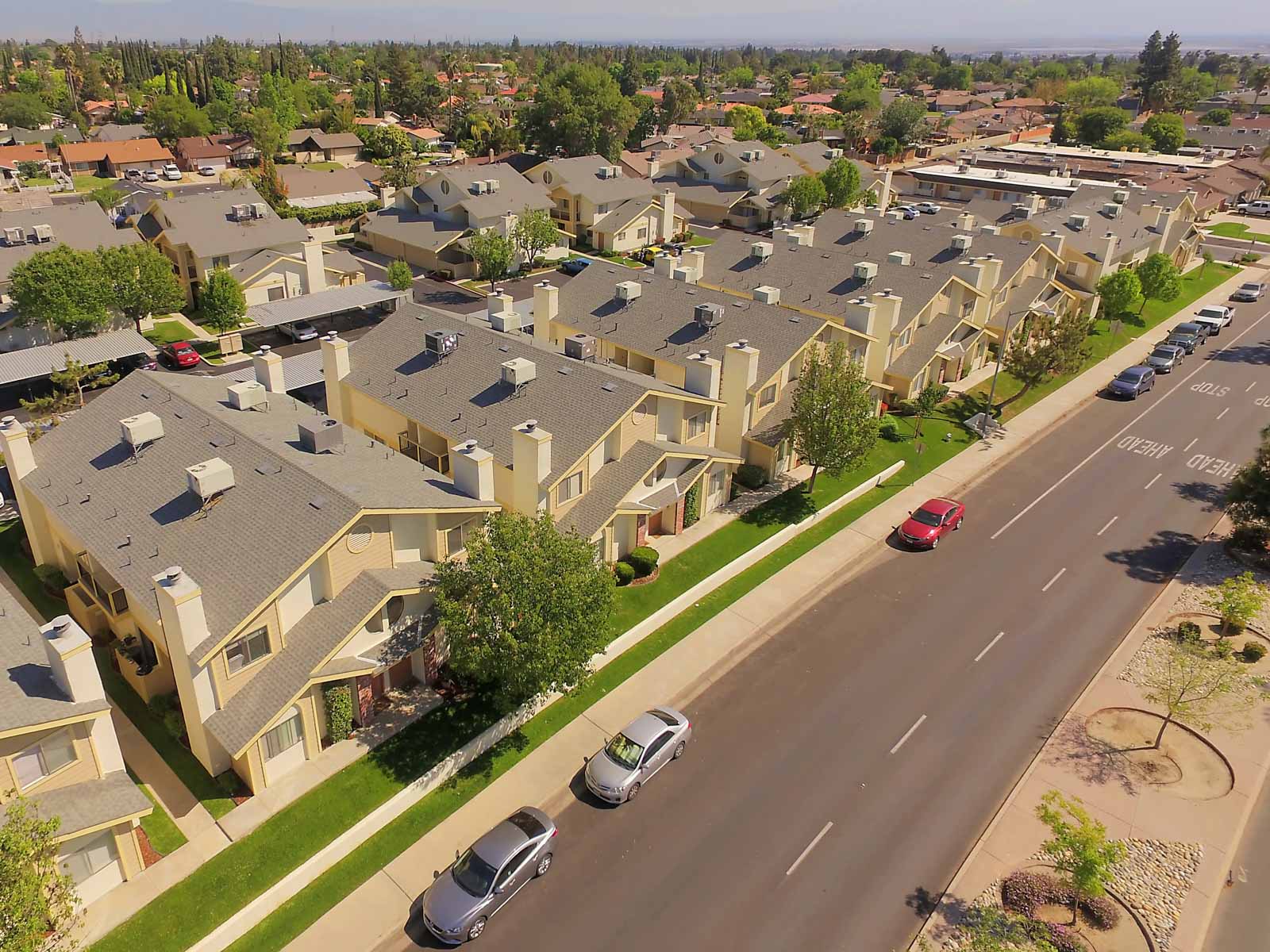 panorama pines