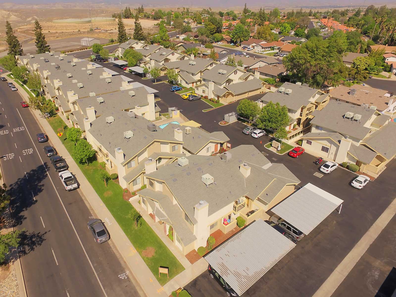 panorama pines