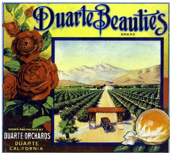 Duarte Beauties  Brand Image