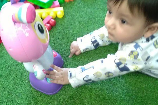 A wide range of play equipment