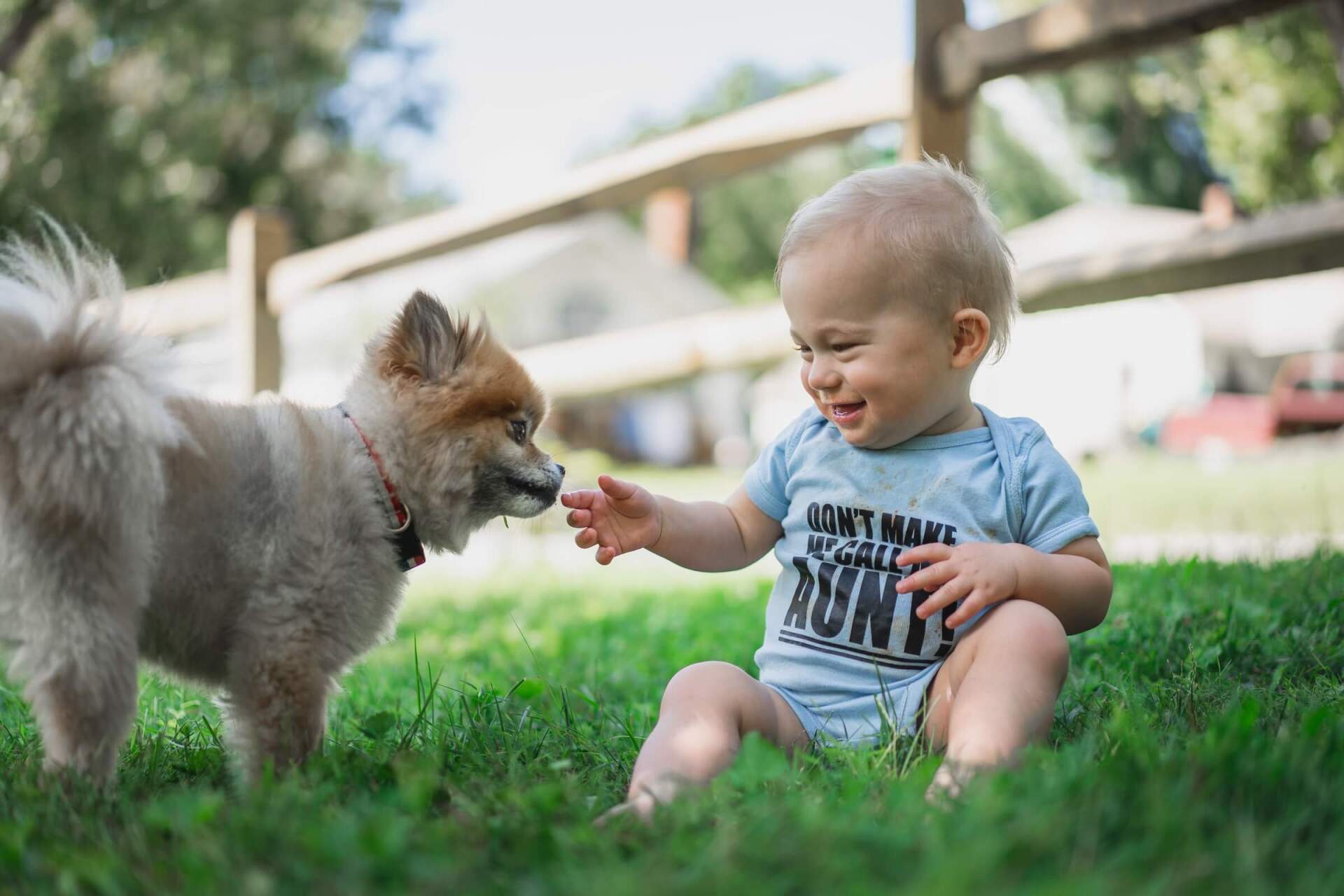 synthetic-grass-for-dog