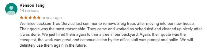 Online review for Jackson Tree Service