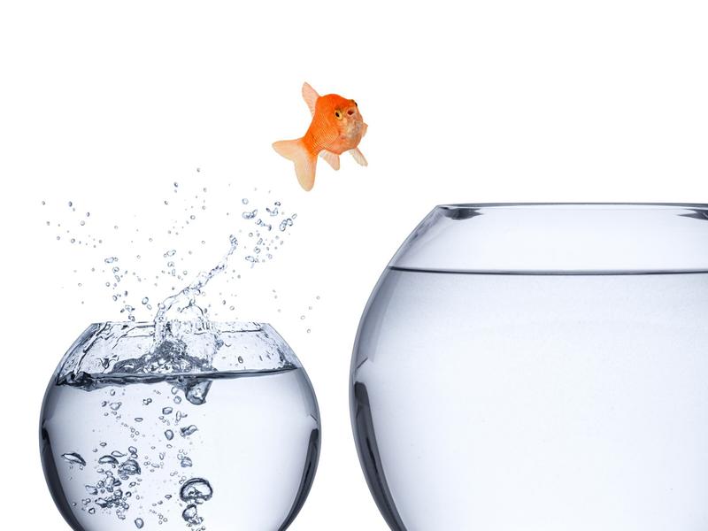 Mawazo-content-marketing