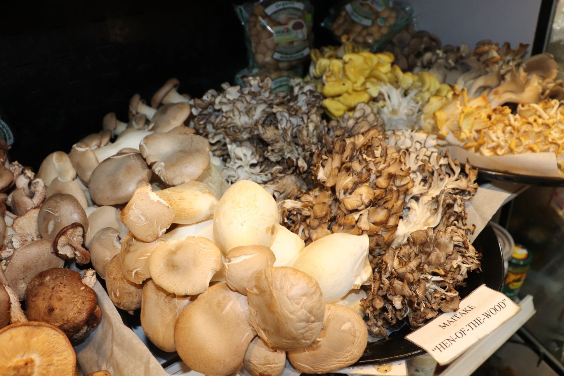 image of mushrooms