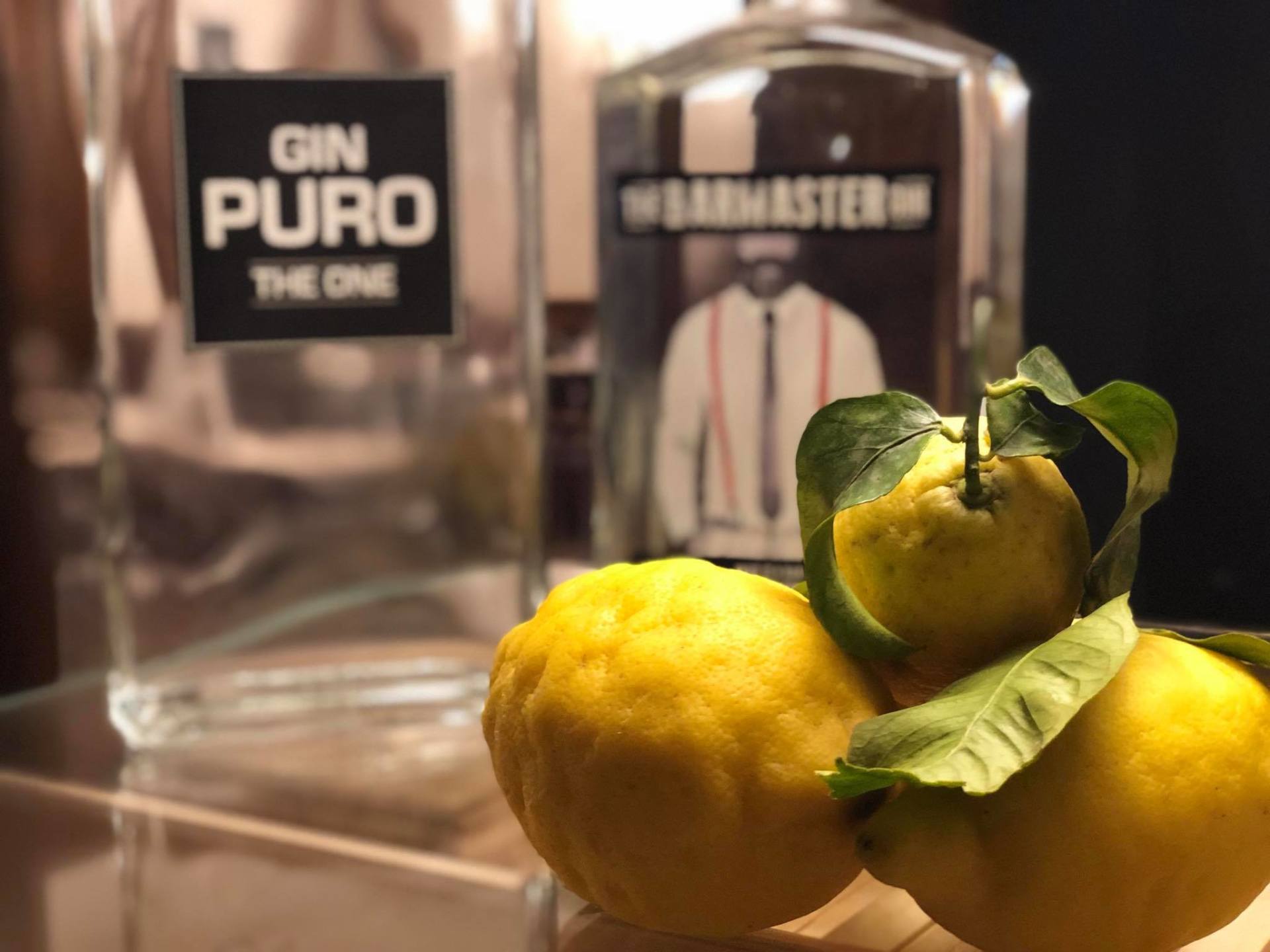 gin puro