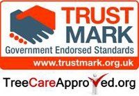 Tree preservation - Ellesmere Port, Cheshire - Design Construction Management Services Ltd - Trust Mark Tree preservation - Ellesmere Port, Cheshire - Design Construction Management Services Ltd - Trust Mark