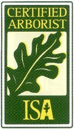 Tree surgeon - Macclesfield, Cheshire - Design Construction Management Services Ltd - Certified Arborist Tree surgeon - Macclesfield, Cheshire - Design Construction Management Services Ltd - Certified Arborist