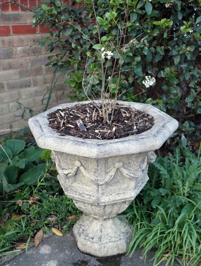 otagonal draped vase stone garden statue