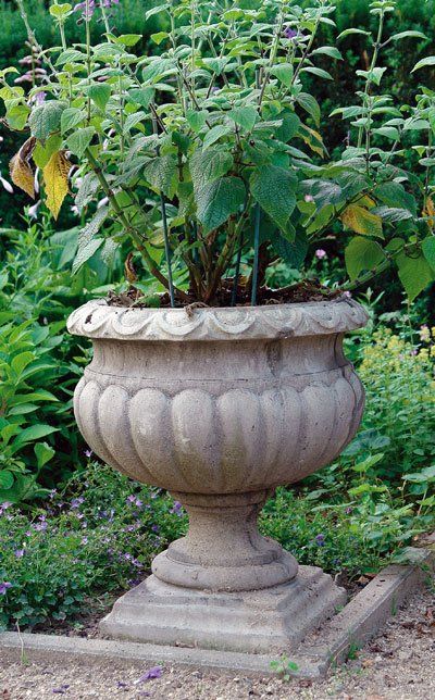 stone garden statue buckingham urn