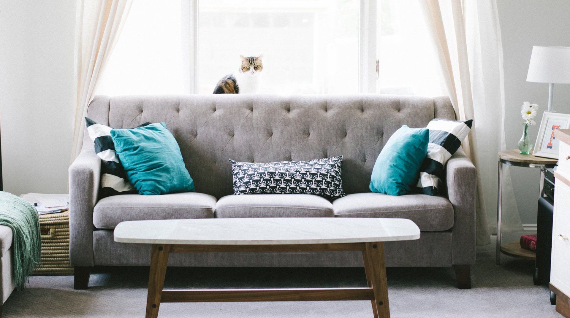 Bright living room with a gray sofa, teal pillows, white curtains, and a wooden coffee table in front.