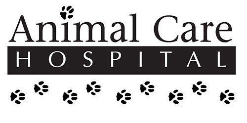 Animal Care Hospital Animal Care Hospital