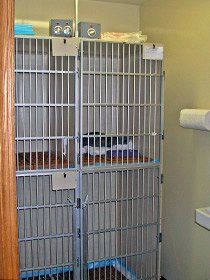 pet isolation area