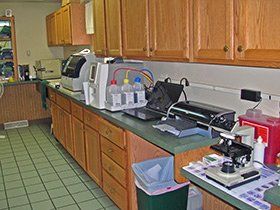 pet lab