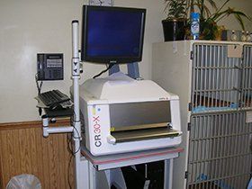 pet x-ray