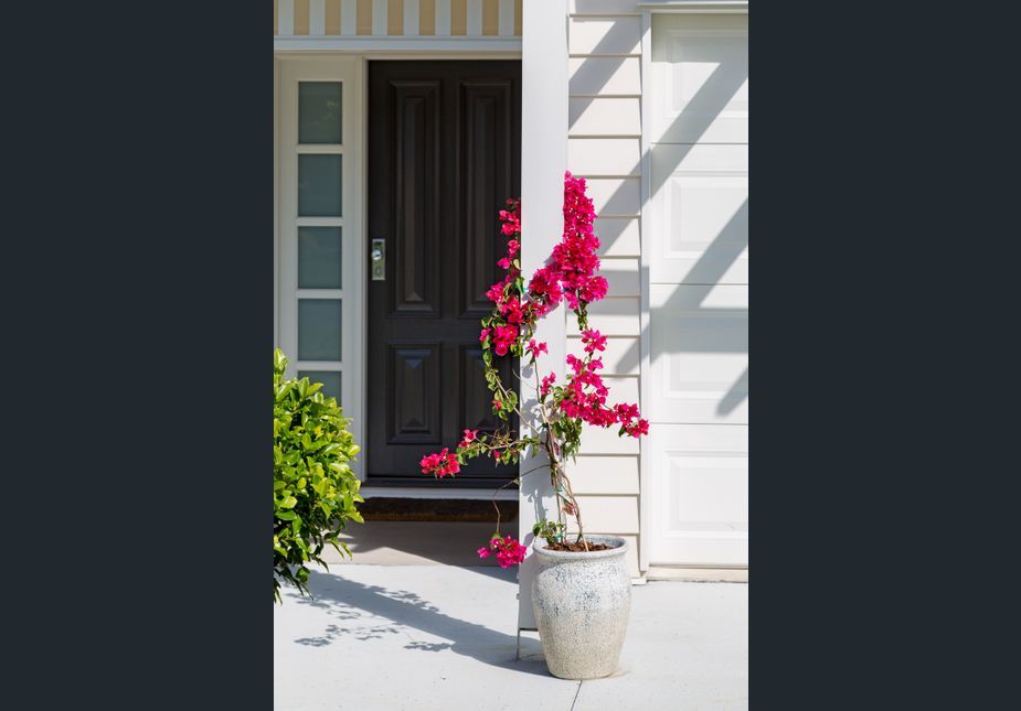 pretty flowers at front door