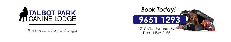 Logo Logo