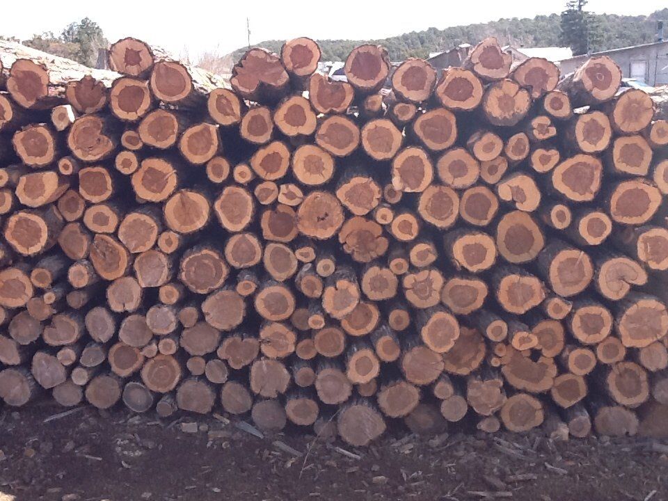 Stacked firewood - Firewood in Santa Fe NM