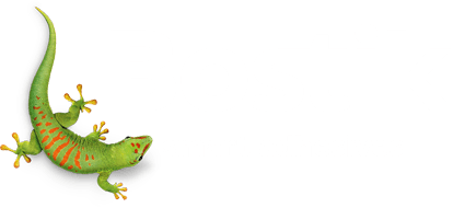 bostik
