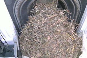 chimney cleaning
