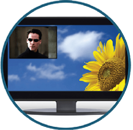 PiP Security System Image