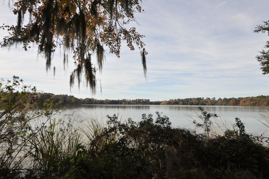 Bivens Lake