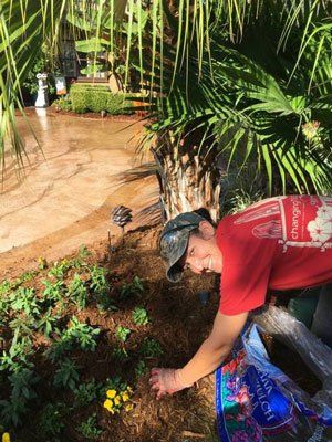 landscaping