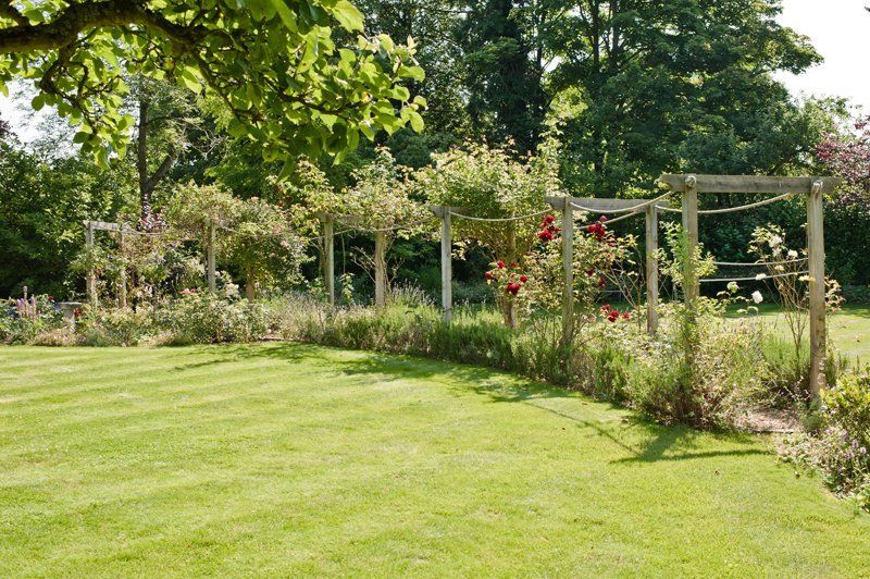 Back view of the garden created in Cobham, Surrey