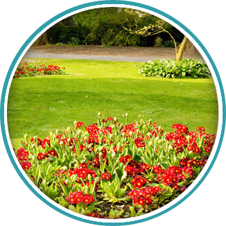 Call 020 8398 5000 to discuss how soft landscaping can improve your garden Soft landscaping completed in Esher by Brodie & Hickin Landscapes