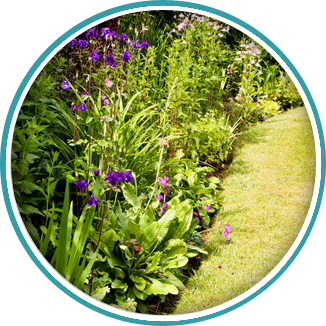 Call 020 8398 5000 for flora and fauna that entice the senses Planting new flowers in Kingston by Brodie & Hickin Landscapes