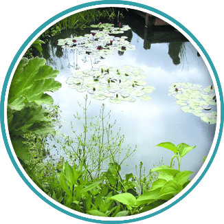Call 020 8398 5000 for flora and fauna that entice the senses Planting new flowers in Kingston by Brodie & Hickin Landscapes
