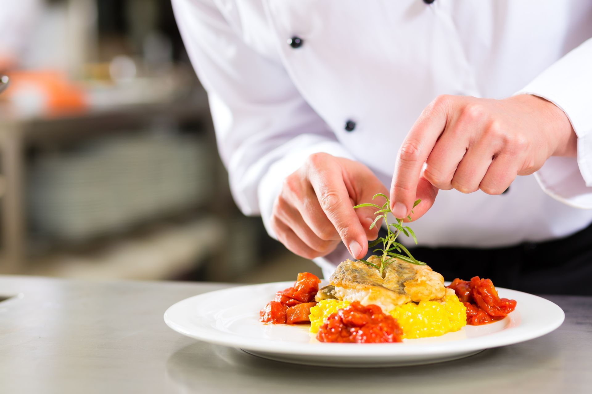 Piatto di alta cucina