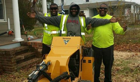 Stump Grinding Professional — Happy Workers With Stump Removal Machine in Glen Burnie, MD Stump Grinding Professional — Happy Workers With Stump Removal Machine in Glen Burnie, MD