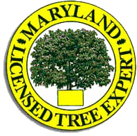 Maryland Licensed Tree Expert Maryland Licensed Tree Expert