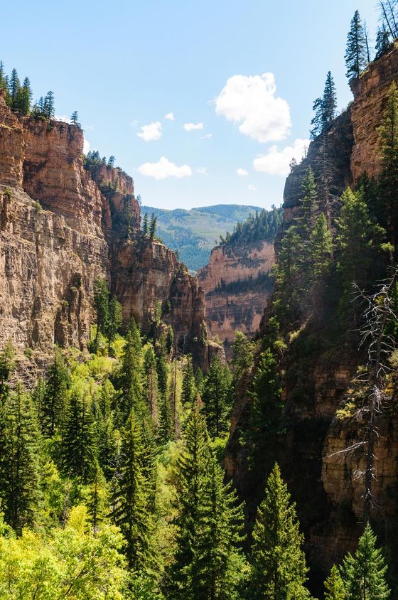 Wilderness - Friendly Hotel in Glenwood Springs, CO Wilderness - Friendly Hotel in Glenwood Springs, CO