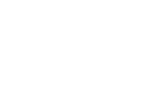 Network Sound logo