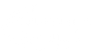 Network Sound logo