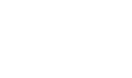 Network Sound logo