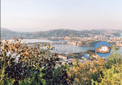 view of the Gulf