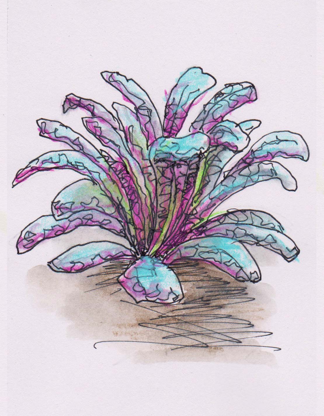 Kale