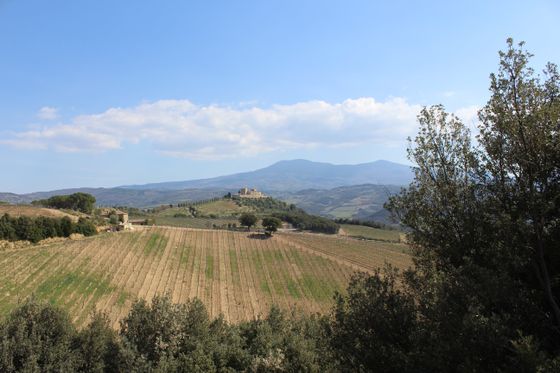 campagna toscana e chiesa romanica su sfondo