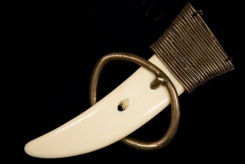 Fibbia dente di squalo