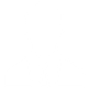 Icona - Professionalità