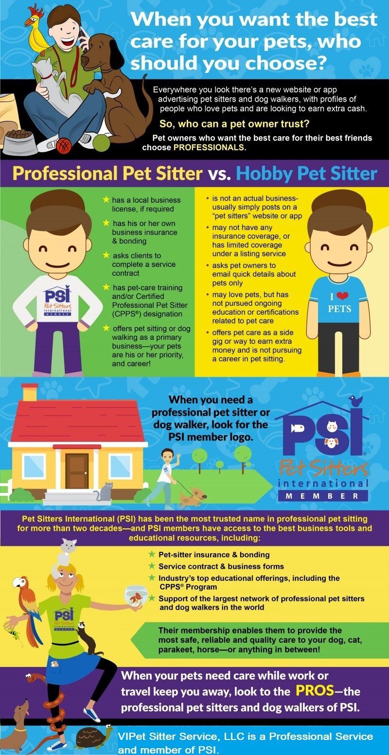 Infographic: Compares professional vs. hobby pet sitters. Features cartoon figures, a house, and a logo.